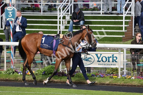 yr13052022r7-4 - Race 7 5.15pm Longines Irish Champions Weekend Stakes