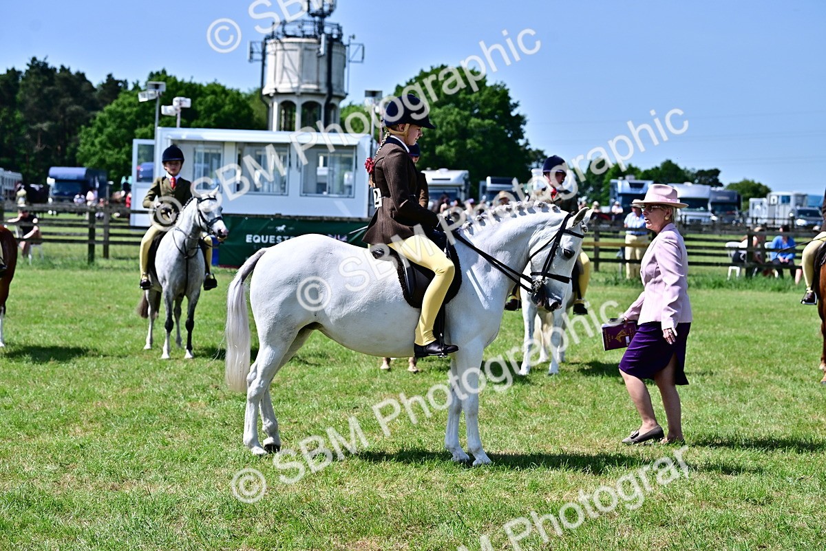 SBM_13896 - Class 95-97 - BSPS LHS Performance Ponies