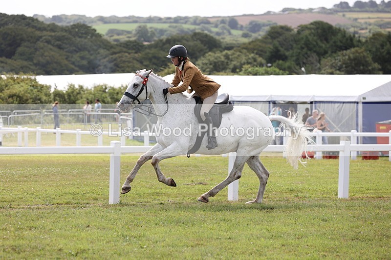 JPP_1432 - Class 17: Cornish Combination Open