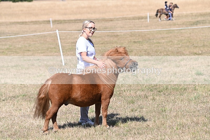 WJ6_9257 - Championship Classes 33-38
