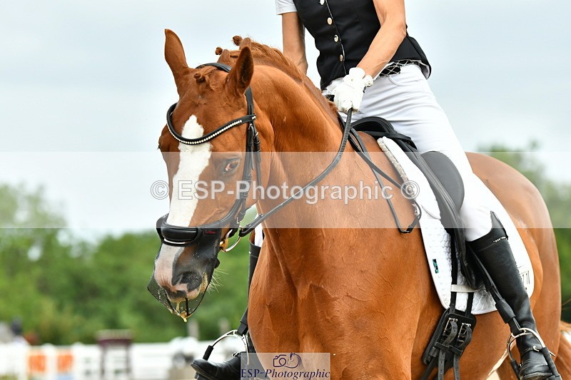 230702A-111517-08650 - Cls 26 Novice 37A