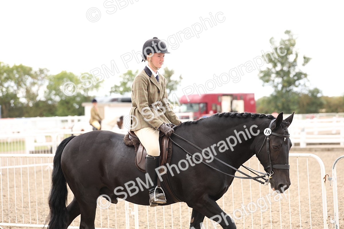 SBM_04172 - Class 54 - Riding Club Horse/Pony