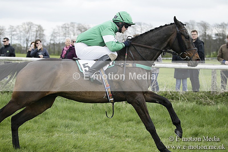 PtP 170417 21 - Old Berks Point-to-Point Lockinge 17/04/17