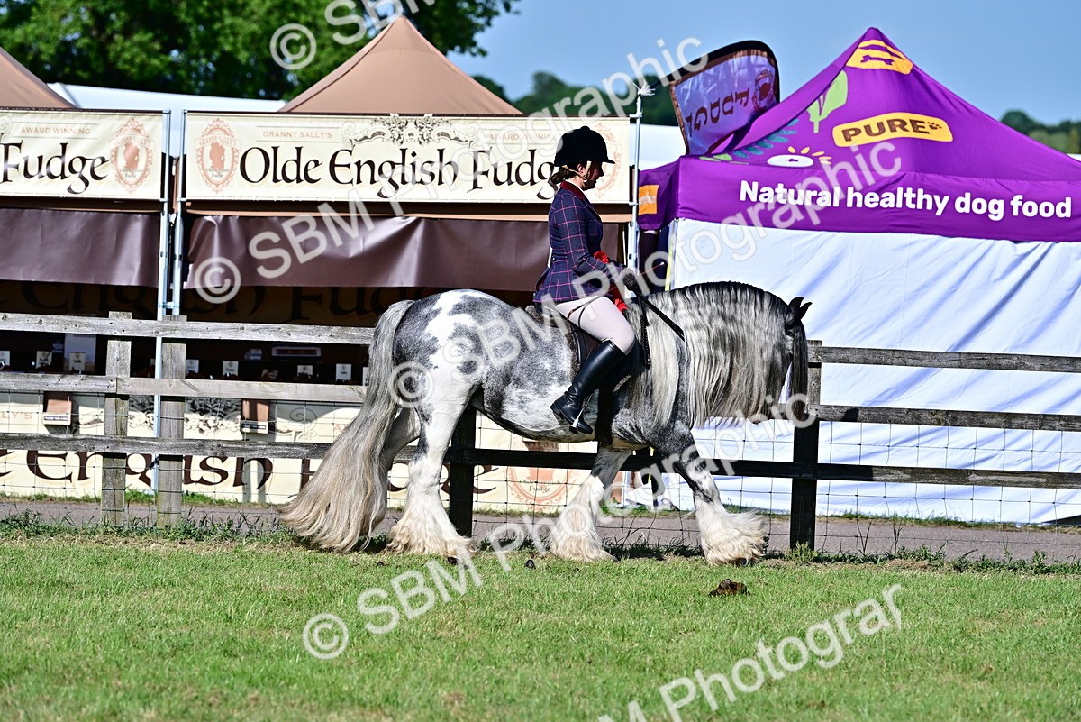 SBM_19559 - Class 101-102 - BSPS LIHS Performance Coloured Horse/Pony