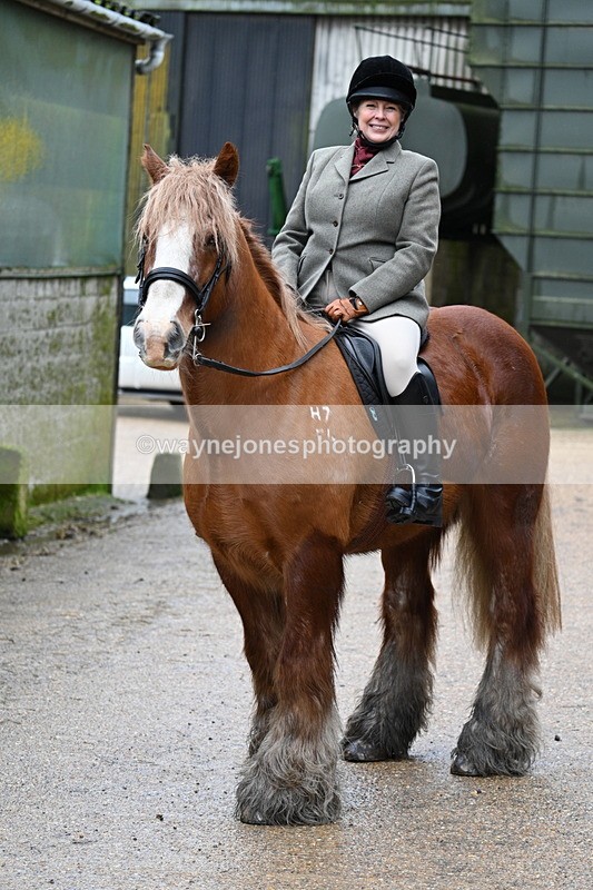 WJ7_8682 - Berks & Bucks - Rowles Farm 15-02-26