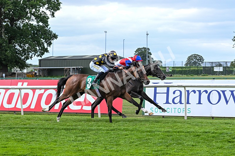 080825-Race 3-Bosom Pals-2166 - Race 3