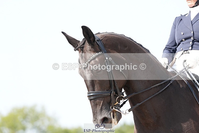 250815-151520-01999 - 017-elaine.scottFlorava