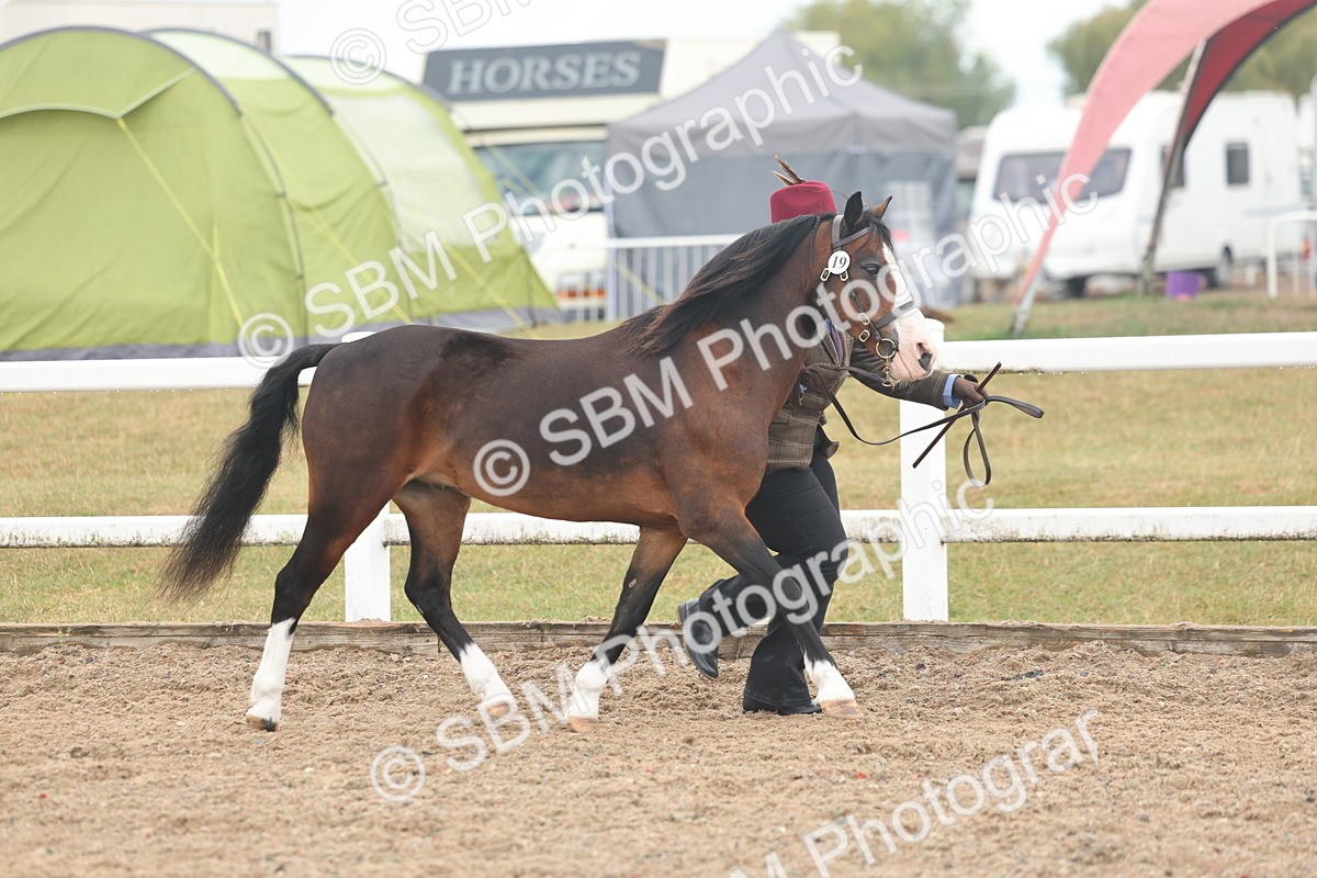 SBM_08425 - Class 29 - IH Veteran Pony