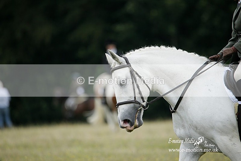 BVRC 030721 65 - Bourne Valley Riding Club Dressage 03/07/21