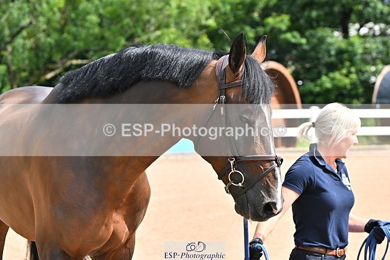 240718A-105236-00871 - Trot Up 11am to 12pm