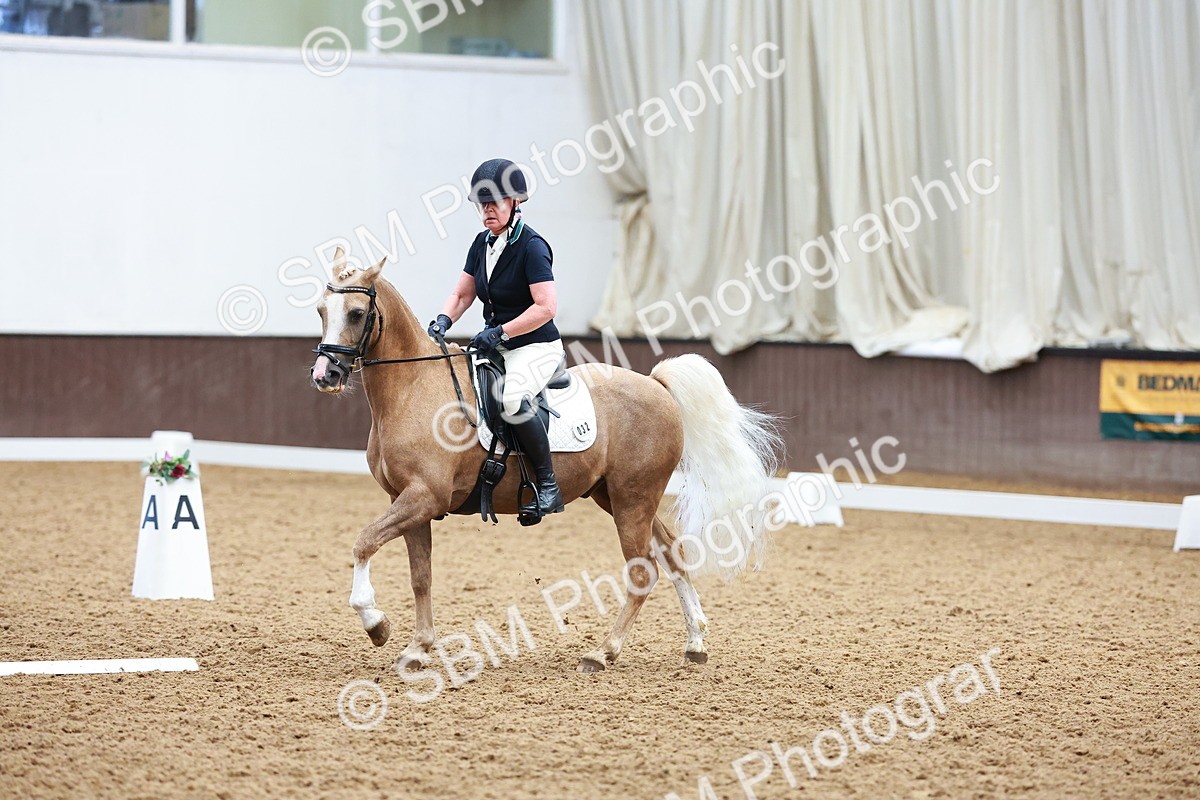 SBM_001210 - Class 5-6 - Novice 1-Elem 1