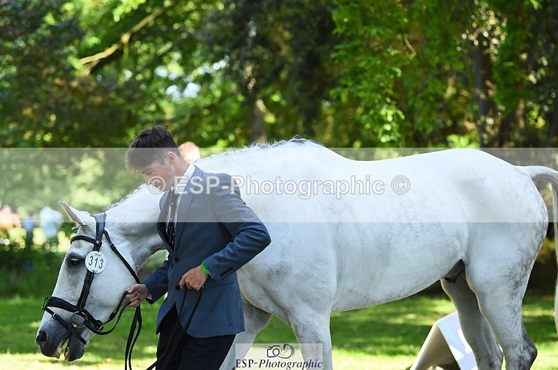 230524-152256-00236 - 313-LOUISBOURG_C-Jack_Whiteford-WEDTrotUp+DR