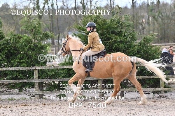 BPP_7540 - RING 1  (RIDDEN HORSES / IN HAND / VETERAN ETC)