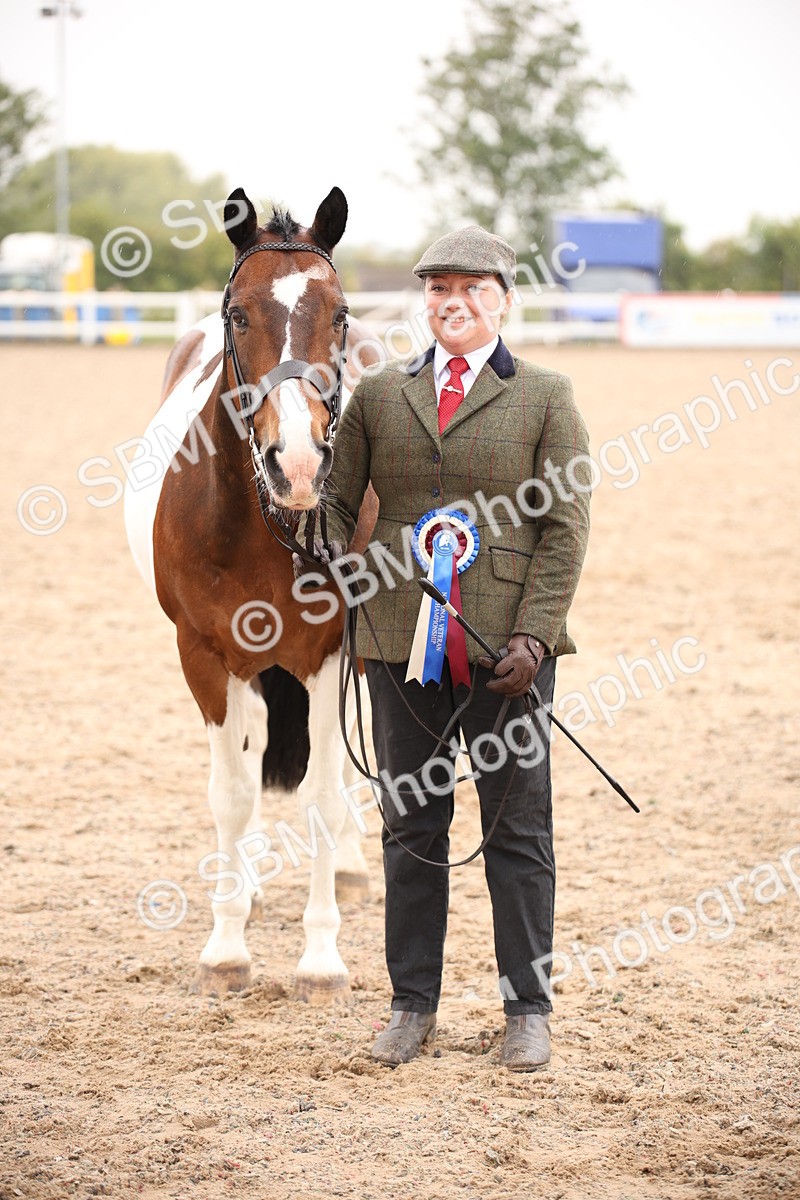 SBM_20225 - Class 703 - IH  Coloured