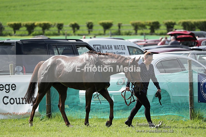 PtP 070523 402 - Kimblewick Races Coronation Meet  Kingston Blount 07/05/23
