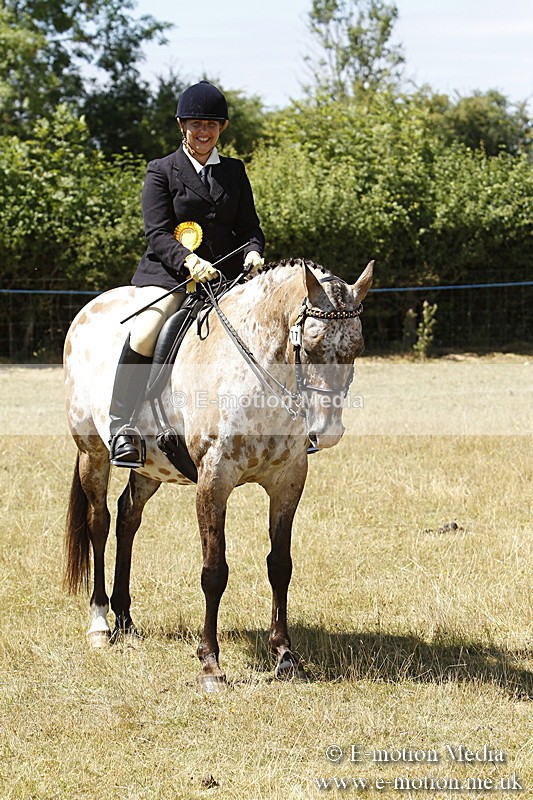 _BS_0868 - BVRC Show 2018 Ring 1