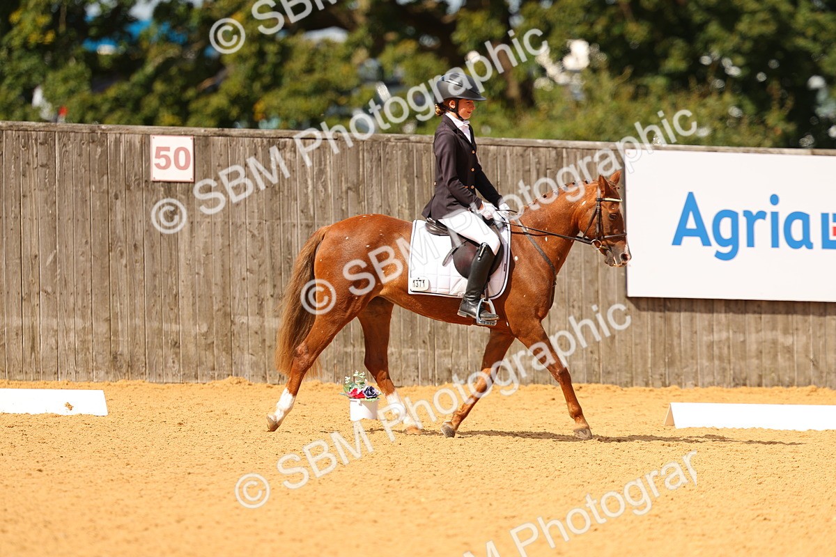 SBM_44043 - D22 - Junior Championship - Intro B