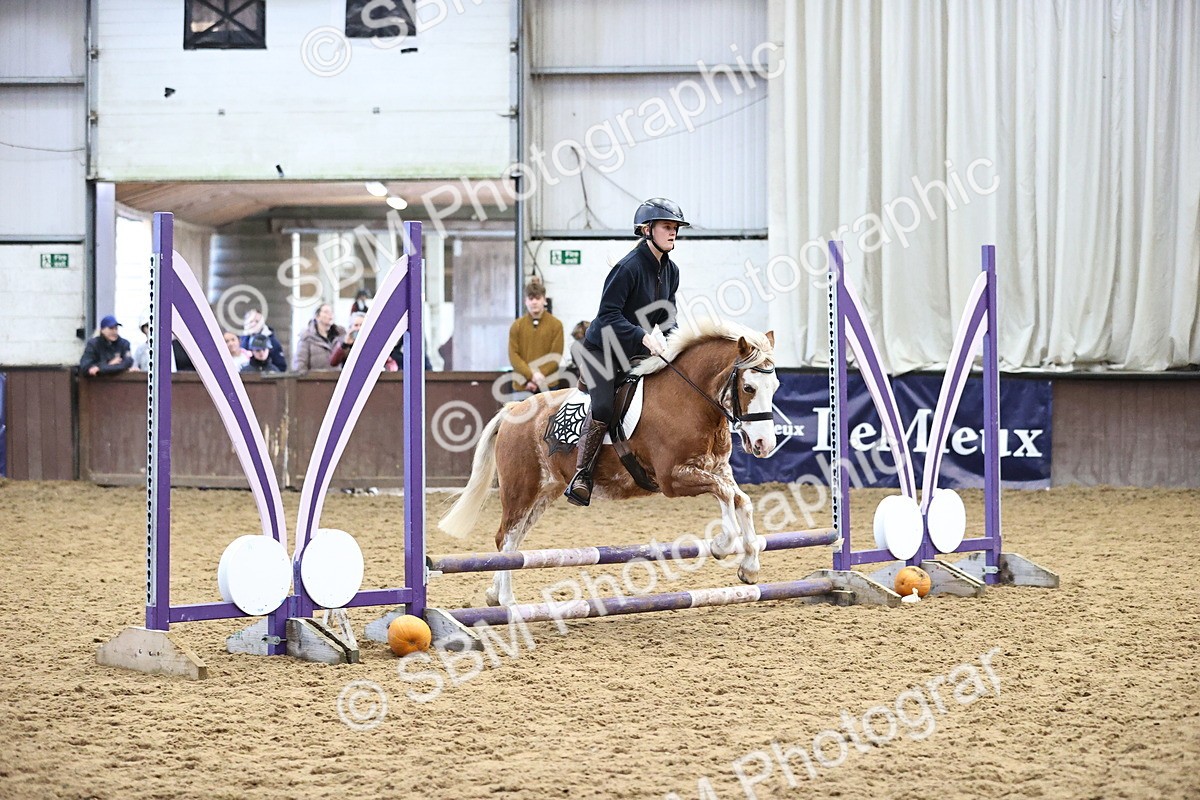 SBM_000239 - Class 2 - Show Jumping 50cm