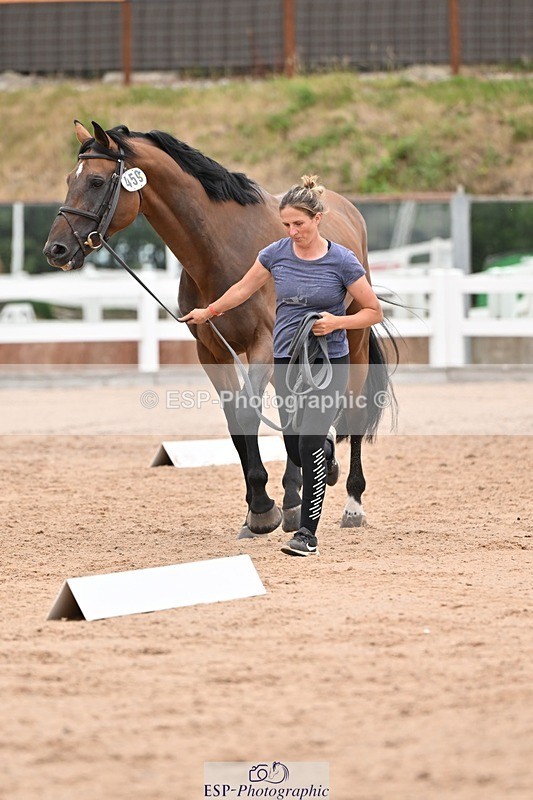 250716-160437-02393 - Trot Up 3.30 to 4.30