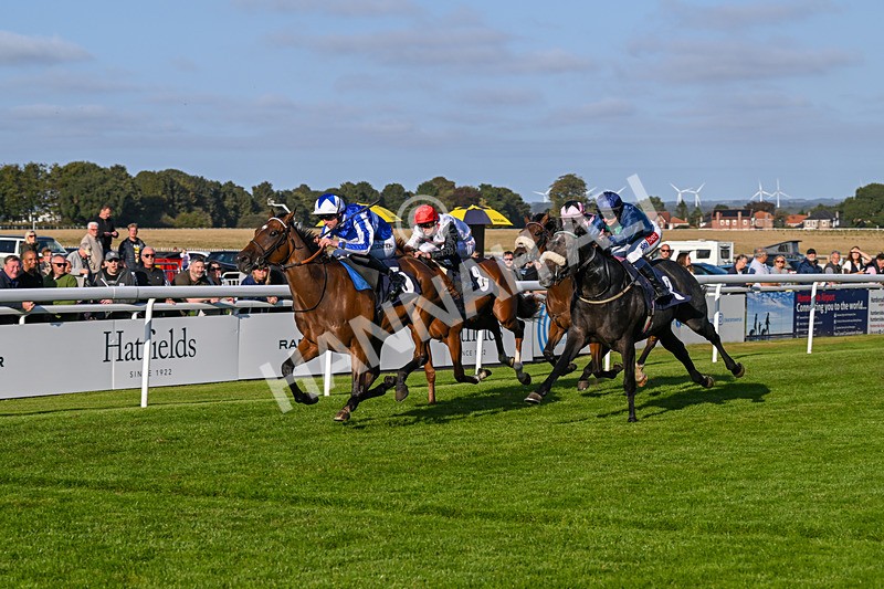 180924-Race 7-Fox Avatar-5239 - Race 7