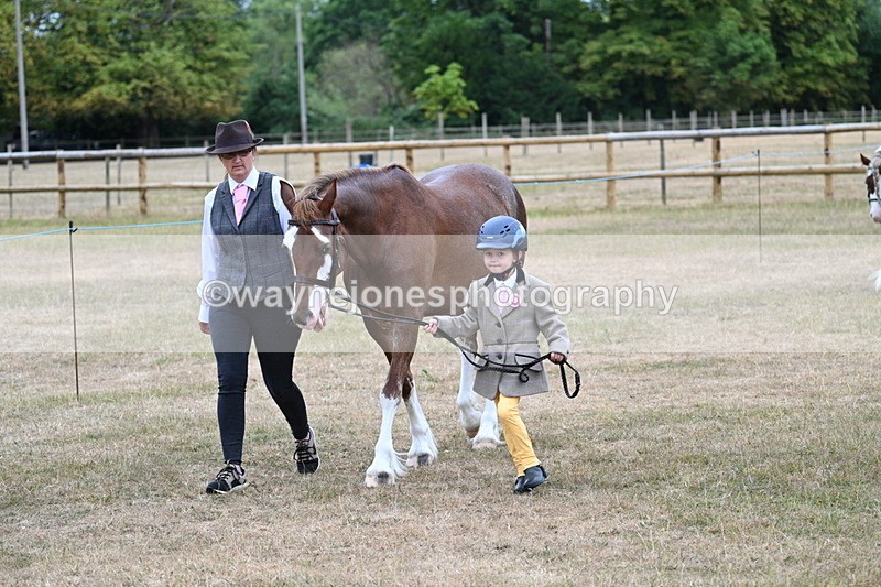 WJ7_8009 - Class 4 Prettiest Mare up to 14.2hh