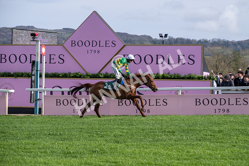 130326-Race 3-Dinoblue-2047 - 13th March