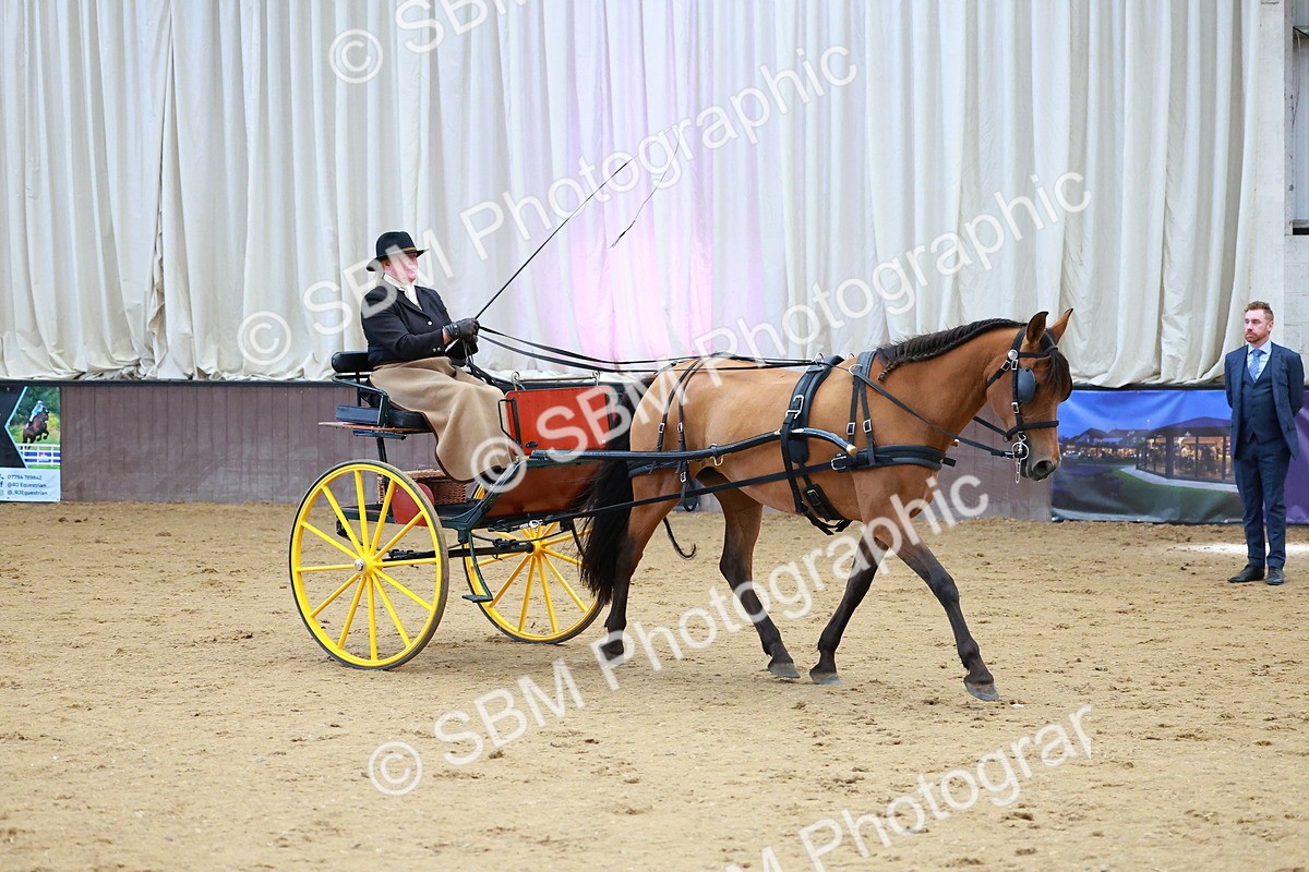 SBM_001058 - Class 15 - Open Showmans Class