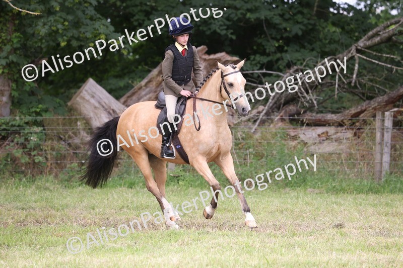 20260614-4166 - Class 24 - Mini and Major Pairs Jumping