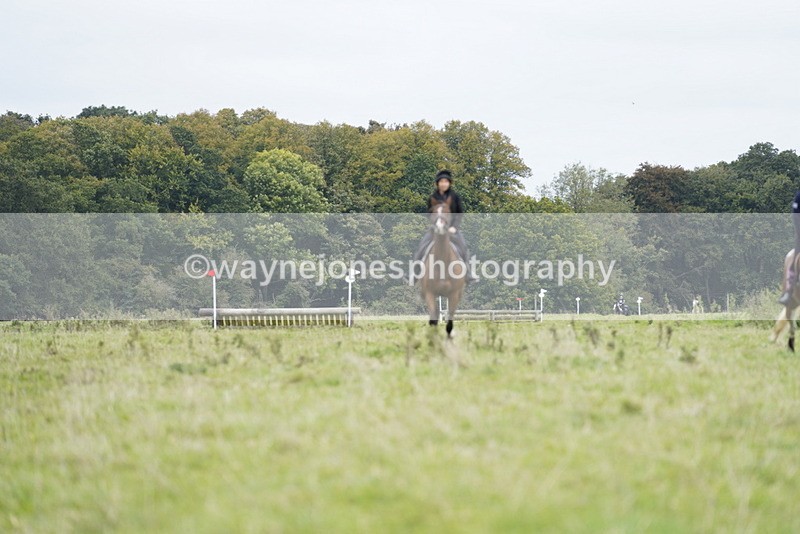 _DSC7357 - Time at Photographer 10:43 to 11:19