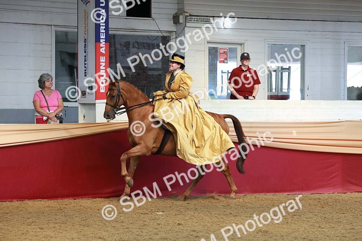 SBM_13560 - Class 105 - Ridden Costume - Side Saddle