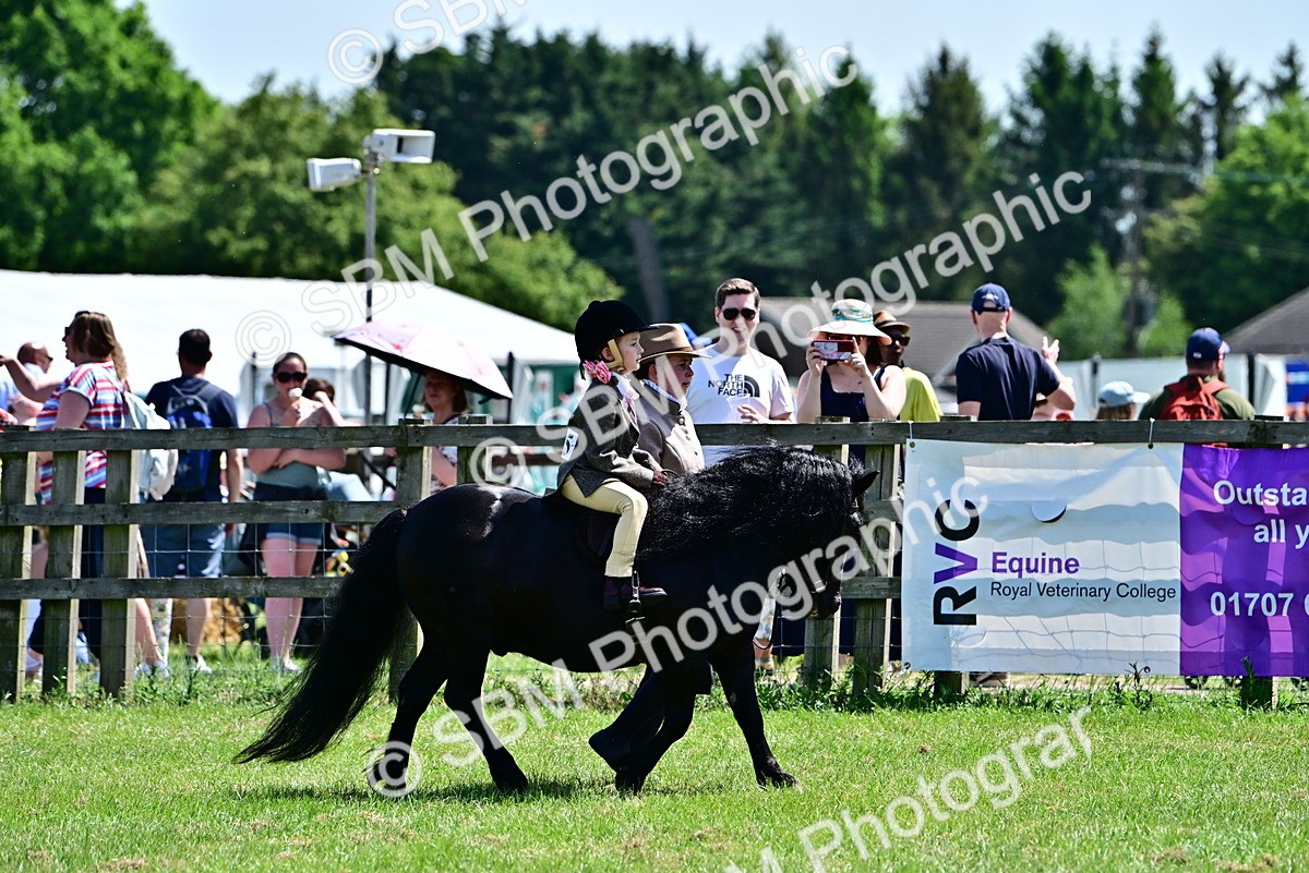 SBM_05763 - Class 59-60 - TSR M&M  Lear Rein and First Ridden Amateur of the year