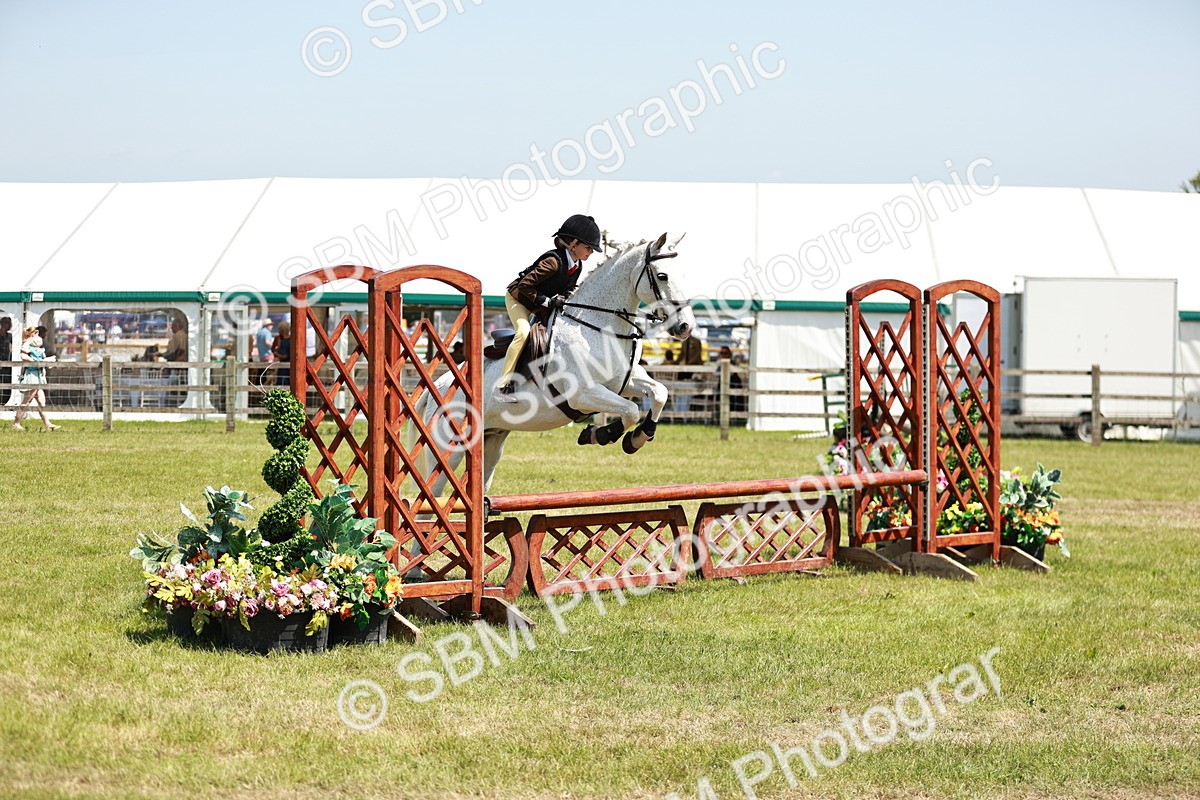 SBM_15619 - Class 108-109 - BSPS LIHS Open Gradle & Nursery Stakes