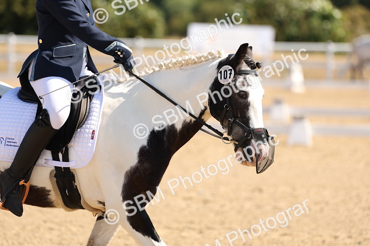 SBM_001037 - Intro 2