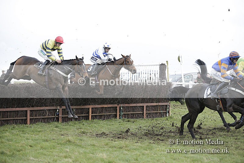 PtP 150320 0597 - New Forest Point-to-Point Larkhill 15/03/20