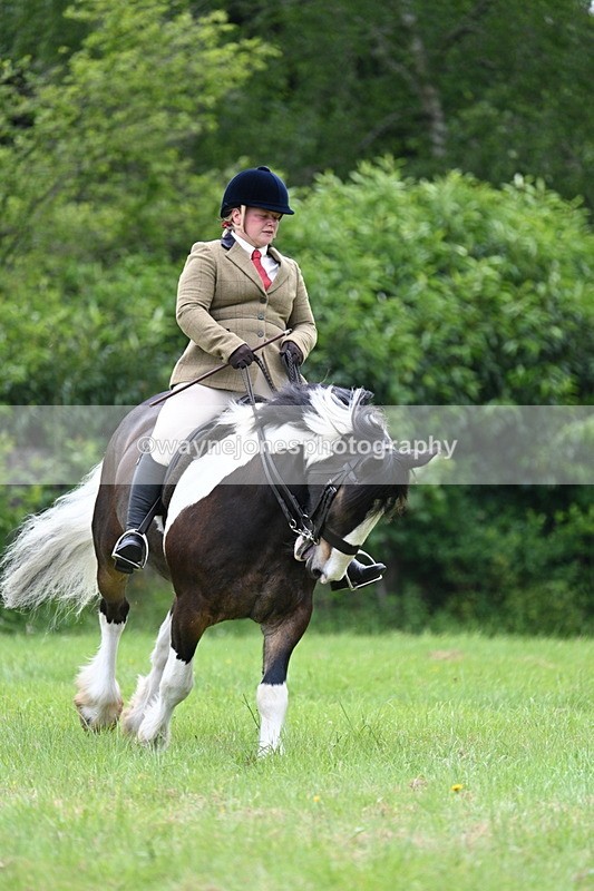 WJ7_2354 - Class 12A Coloured Class