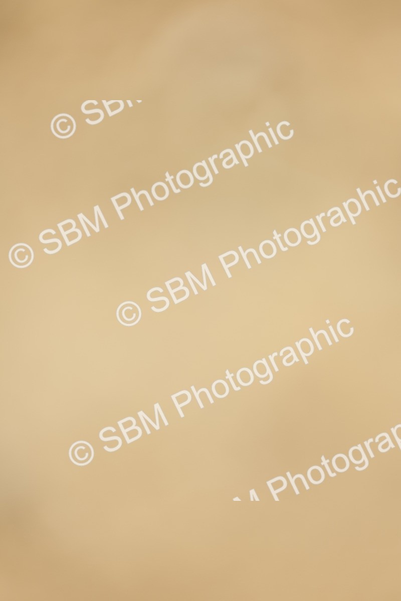 SBM_019487 - Class 21 - jump offs