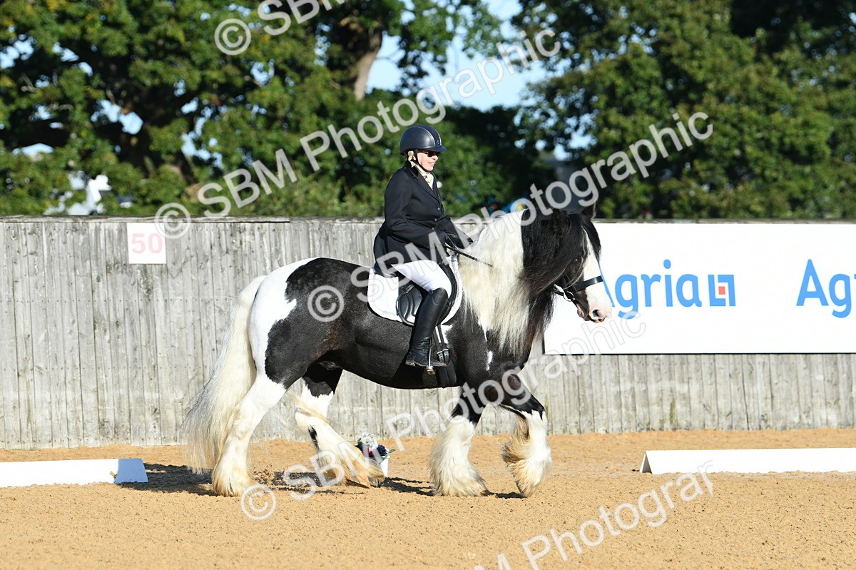 SBM_14459 - D4 - Small Tour Championship - Intro B