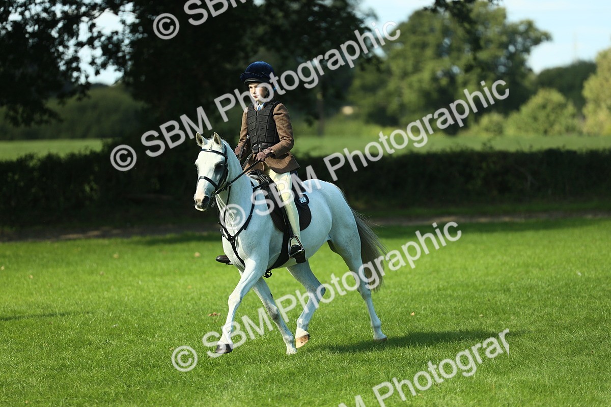 SBM_39204 - S29 - Novice & Newcomers Working Hunter Pony