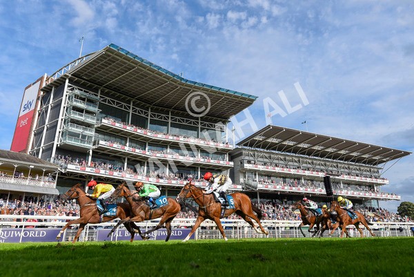 280723-Race 2-Quest For Fun-8746 - Race 2 5.30pm eventmasters.co.uk Handicap