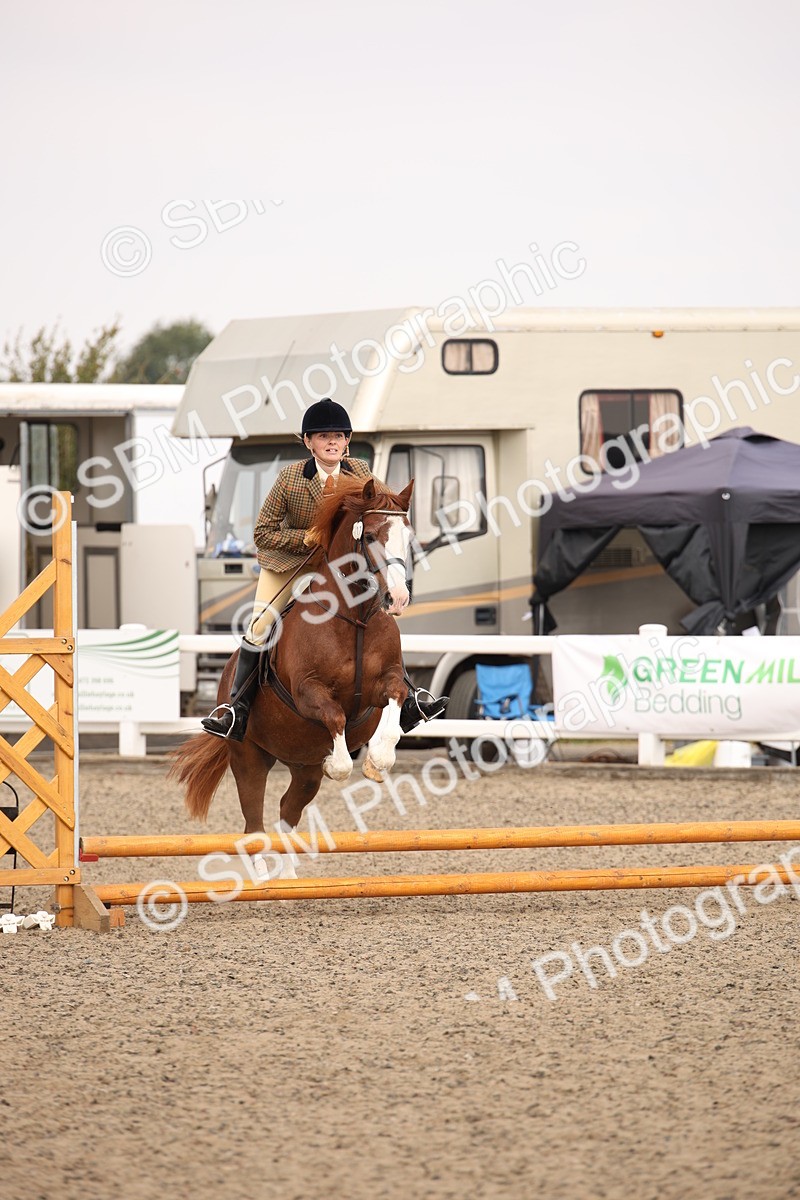 SBM_12260 - Class 405a - M&M Working Veteran 50cm (15-19)