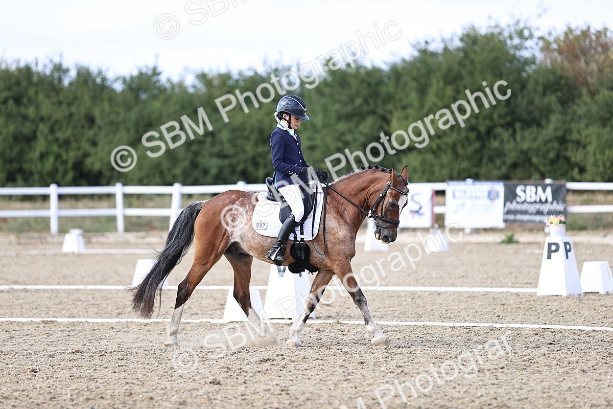 SBM_015977 - Class 5 - E5 Bronze  16.18.17.22
