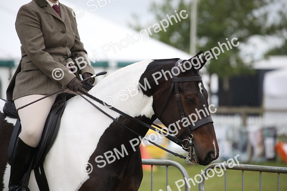 SBM_11018 - Class 92-93 - LIHS BSHA Rising Star Cobs