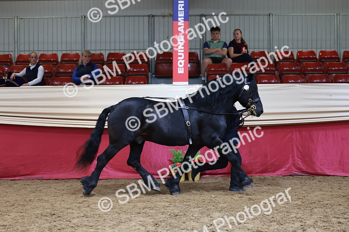 SBM_17412 - Class 951 - M&M IH Supreme Final