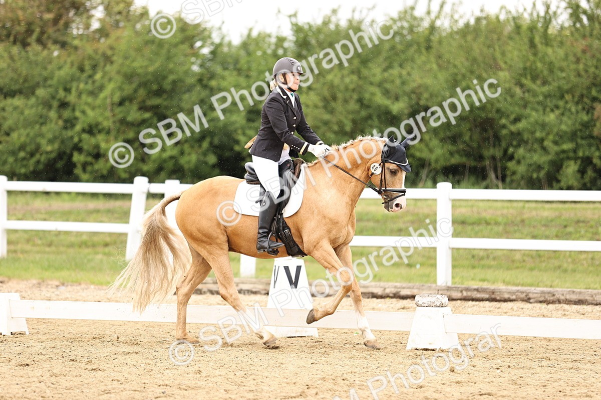 SBM_002098 - Class 2 - Novice 4 - 10.36-11.39