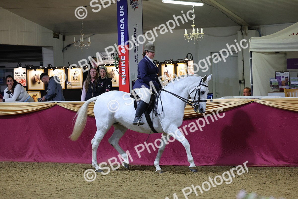 0B8A4486 - Class O Ridden Show Horse Champ