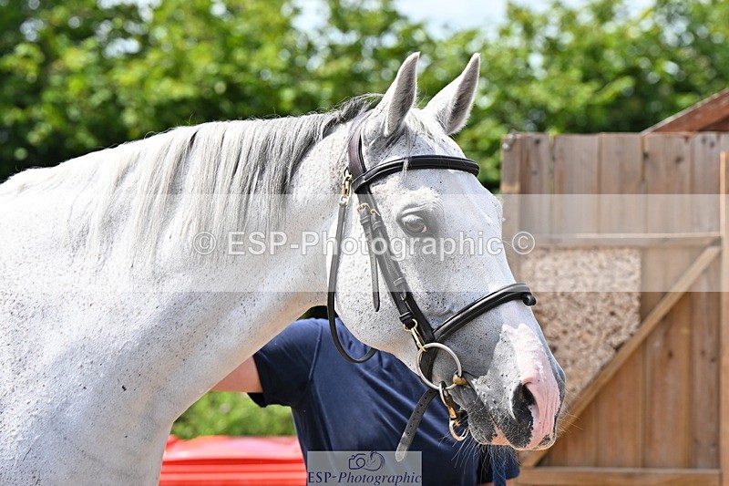 240718A-105315-01749 - Trot Up 1pm to 2pm