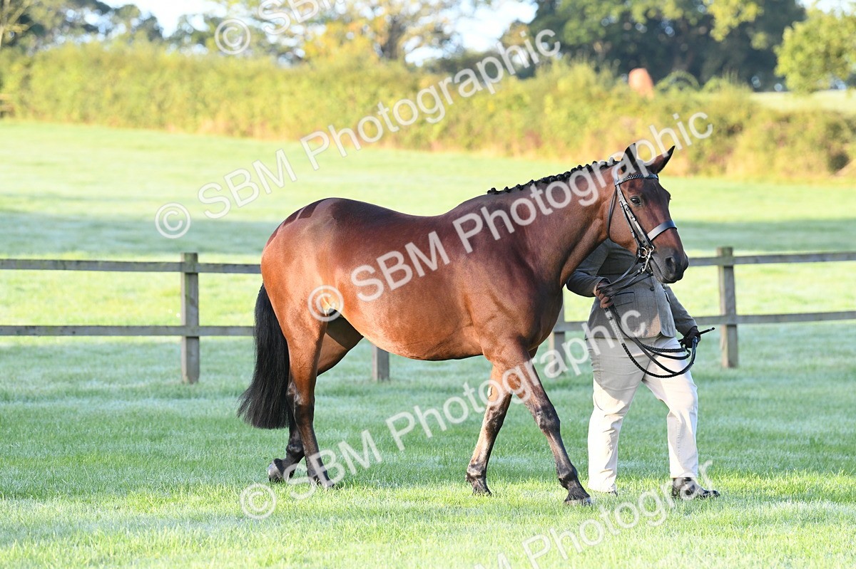 SBM_32435 - S15 - Condition & Turnout In Hand