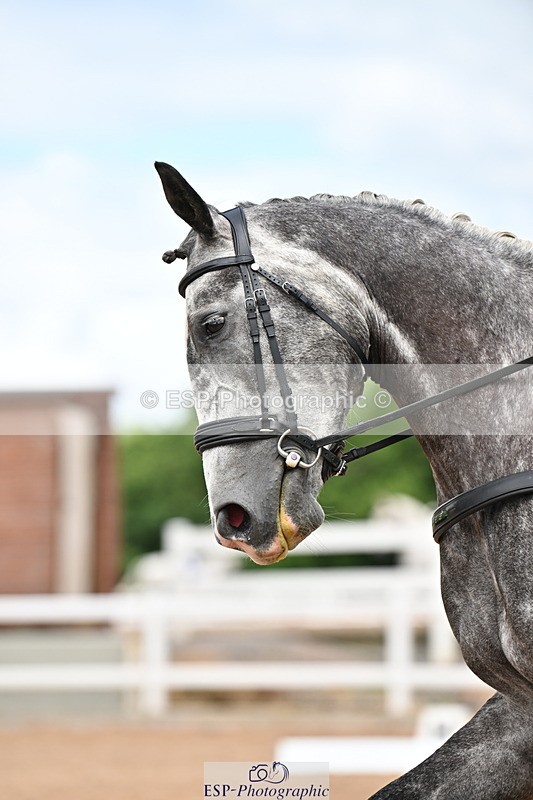 240622A-130512-11564 - Cls 4A Prelim 18