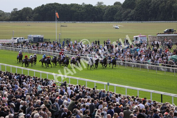 yr17082022r1-049 - Race 1 1.50pm Sky Bet & Symphony Group Stakes