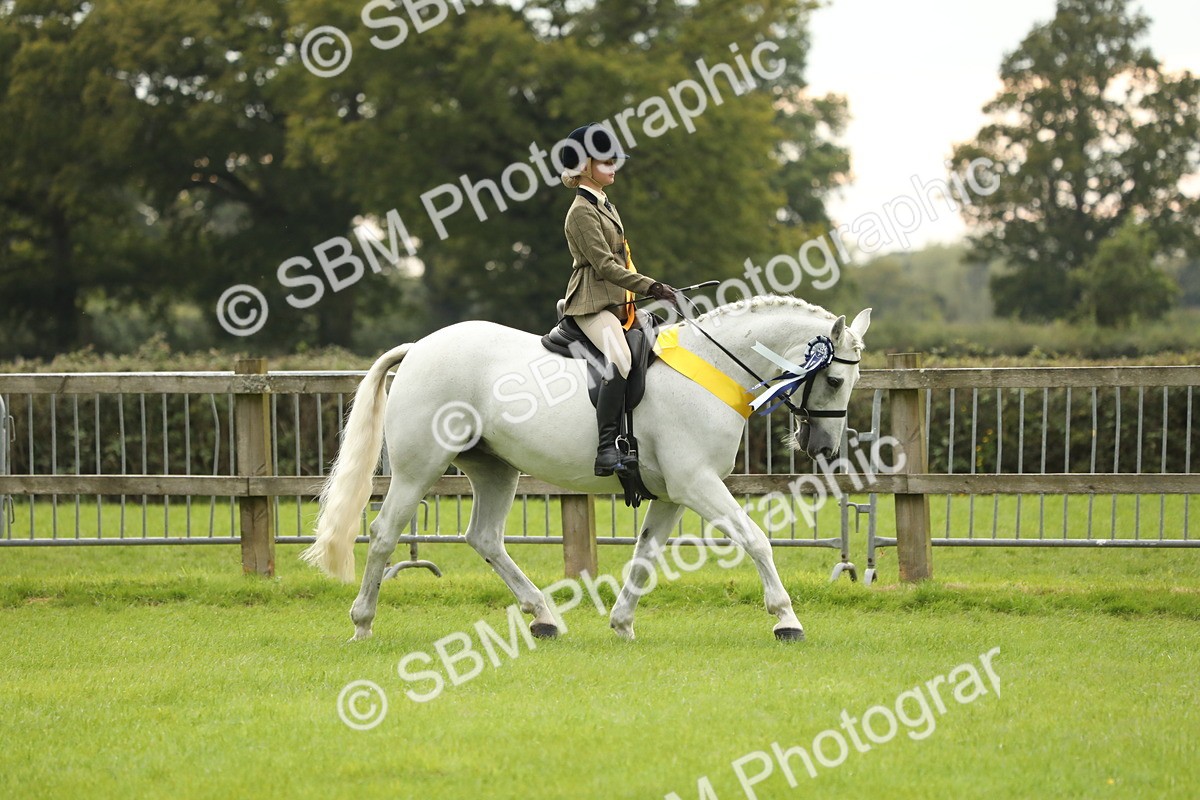 SBM_75431 - Equitation Supreme Championship